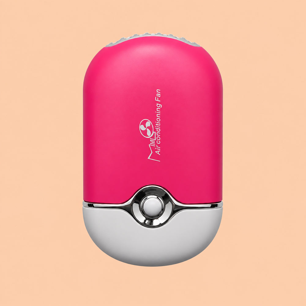 Mini fan