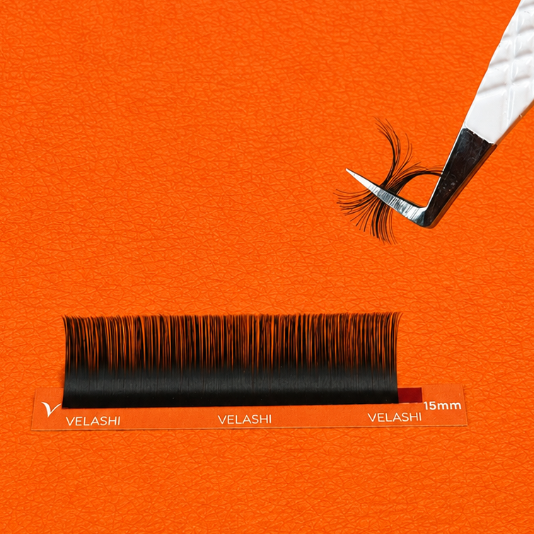 VELASHI Velvet Professional Volume Lashes - 12 Lines